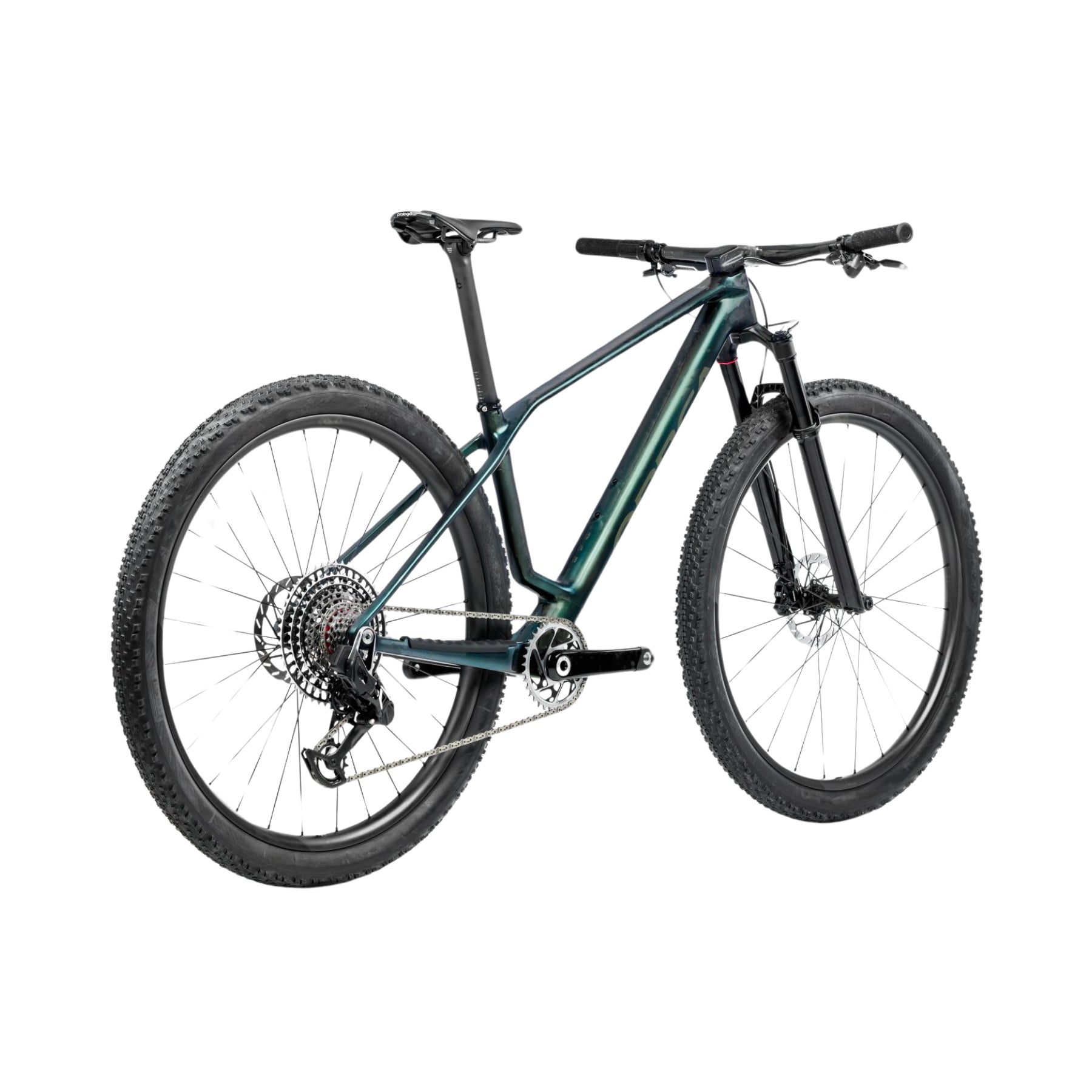 Orbea Alma M30 2025 Seaweed Carbon View JustVélo