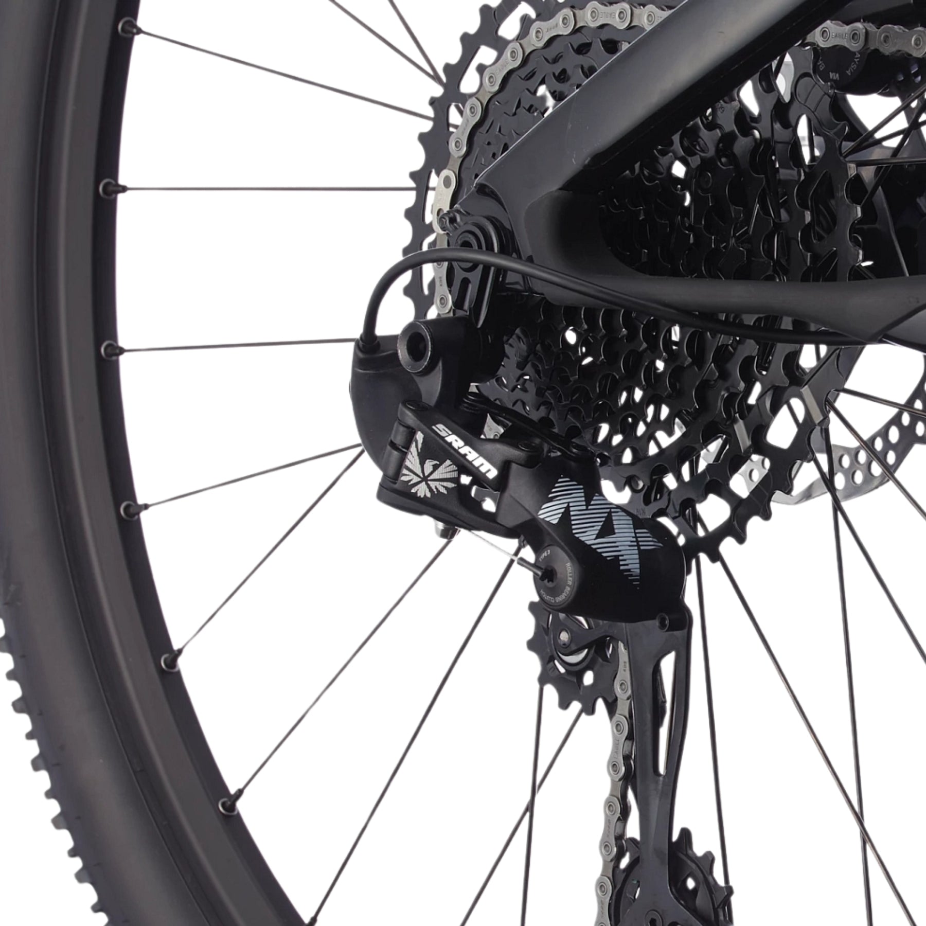 Cannondale Scalpel Carbon 4
