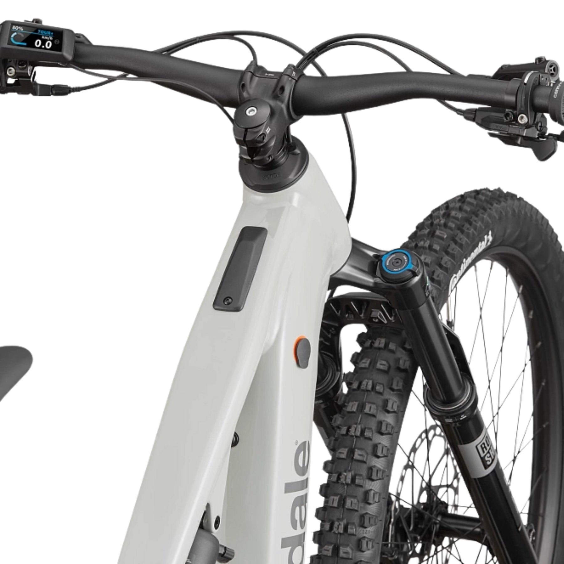 Cannondale Moterra 4 Chalk
